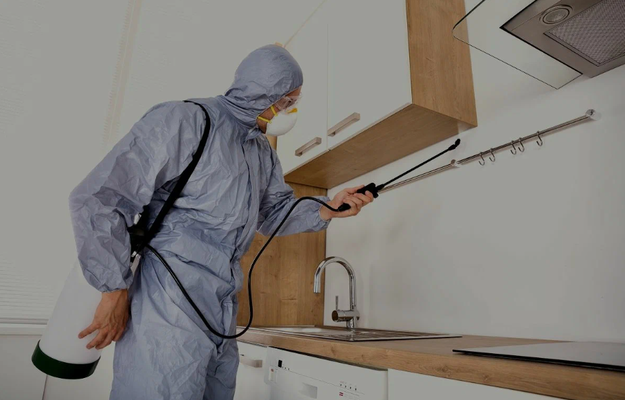 Menlo Park pest managment